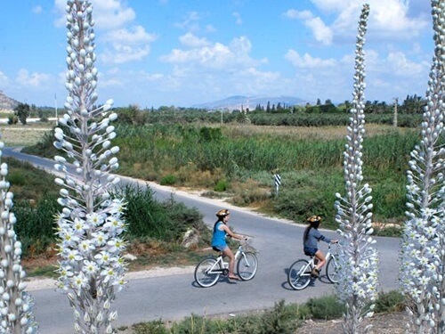 גן גורו ניר דוד